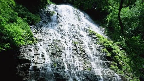 高效高效